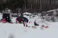 MUSHFORACURE2013-1388
