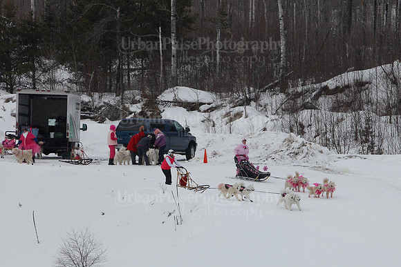 MUSHFORACURE2013-1388