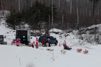 MUSHFORACURE2013-1385