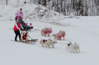 MUSHFORACURE2013-1391