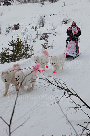 MUSHFORACURE2013-1379