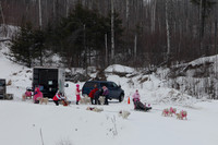 MUSHFORACURE2013-1384