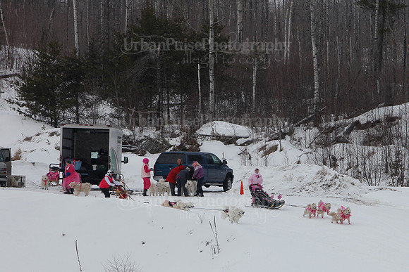 MUSHFORACURE2013-1384