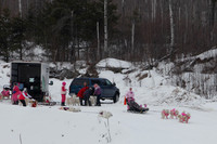 MUSHFORACURE2013-1383