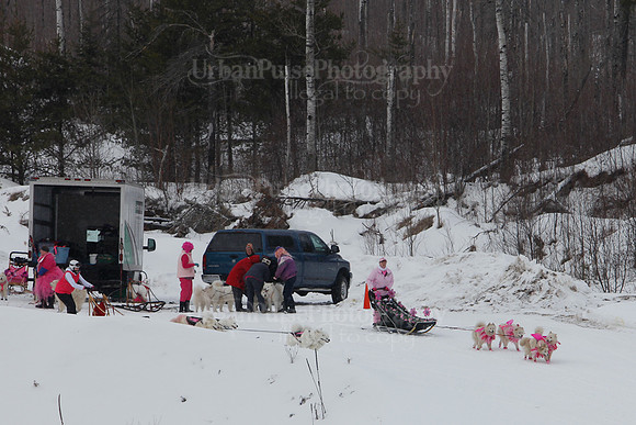 MUSHFORACURE2013-1383