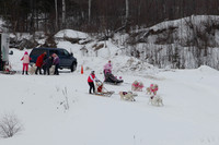 MUSHFORACURE2013-1390
