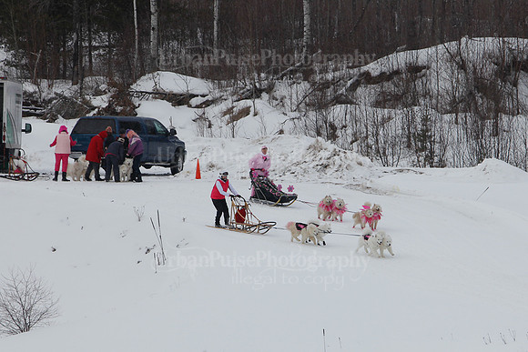 MUSHFORACURE2013-1390