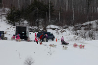 MUSHFORACURE2013-1386