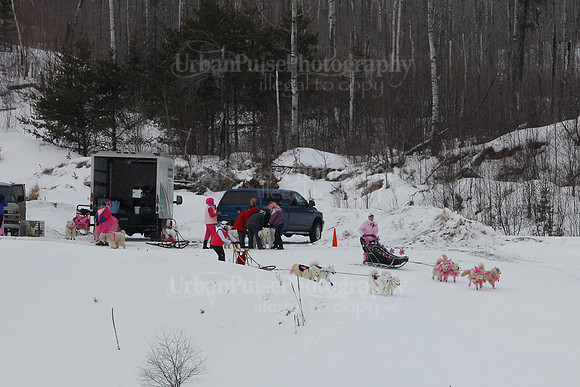 MUSHFORACURE2013-1386