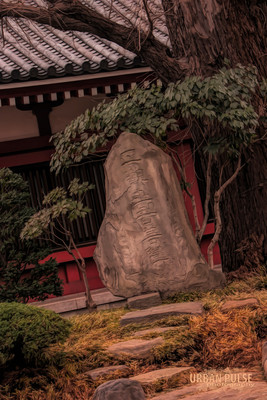 Tokyo Japan_0537