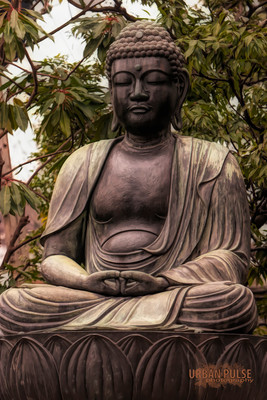 Tokyo Japan_060