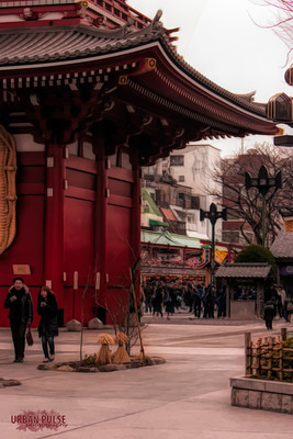 Tokyo Japan_0538