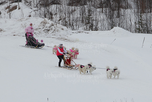 MUSHFORACURE2013-1393