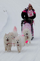MUSHFORACURE2013-1374