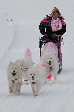 MUSHFORACURE2013-1374
