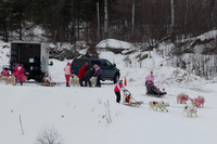 MUSHFORACURE2013-1389