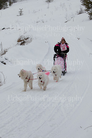 MUSHFORACURE2013-1375