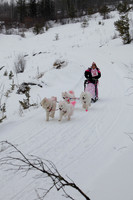 MUSHFORACURE2013-1376