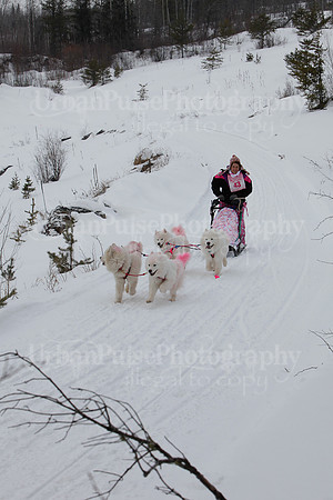 MUSHFORACURE2013-1376