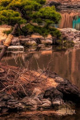 Tokyo Japan_044