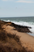CAPE COD CT