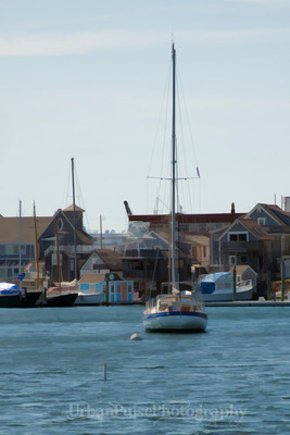 CAPE COD CT