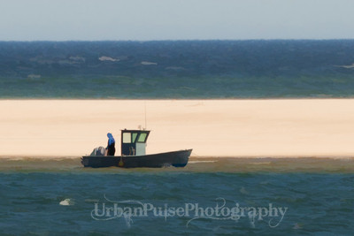 CAPE COD CT