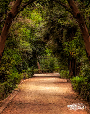 ATHENS_2126