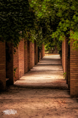 ATHENS_2130