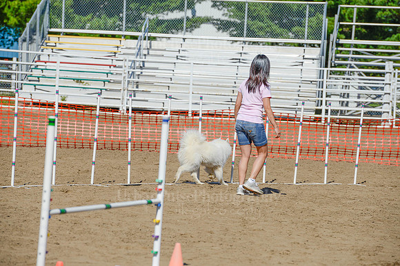 AGILITY-2259