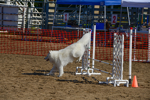 AGILITY-2122
