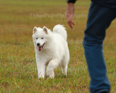 SCA2016_LURE COURSING-7360