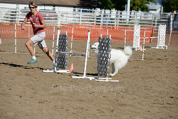 AGILITY-1973
