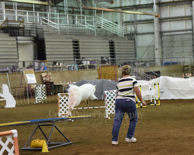 SCA2016_AG MON FAST NOVICE-0067