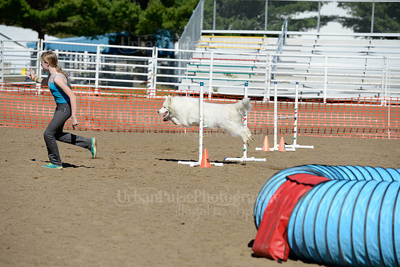 AGILITY-1948