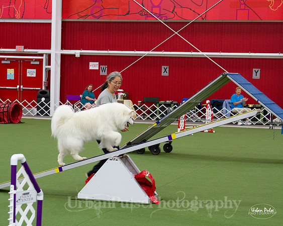AGILITY_9443
