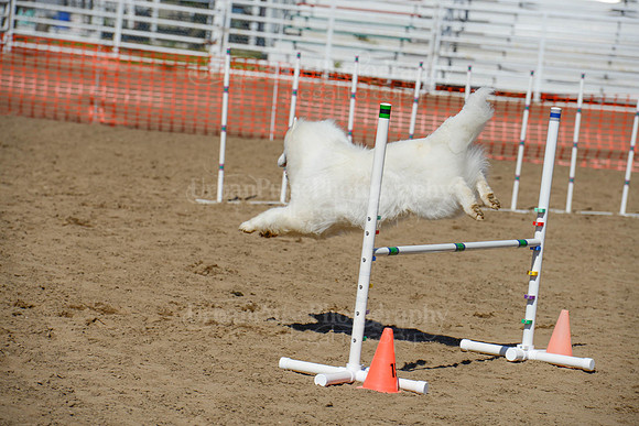 AGILITY-2394