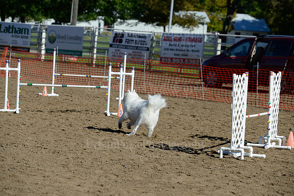 AGILITY-1891