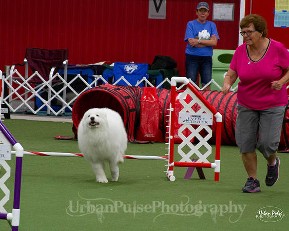 AGILITY_9490