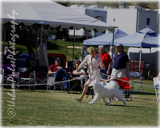 Agate_Scottsdale2011_7013