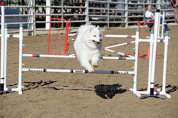 AGILITY-1918