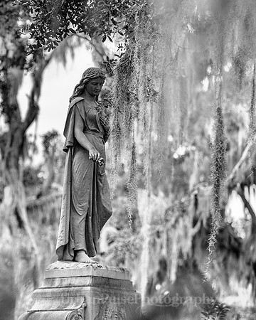 Savannah_9867