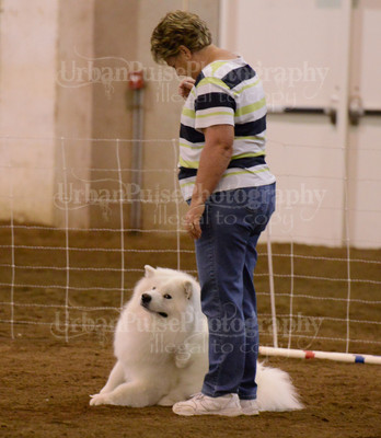 SCA2016_AG MON FAST NOVICE-3589