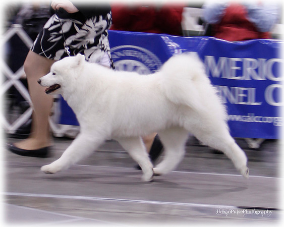 _MG_0530crop