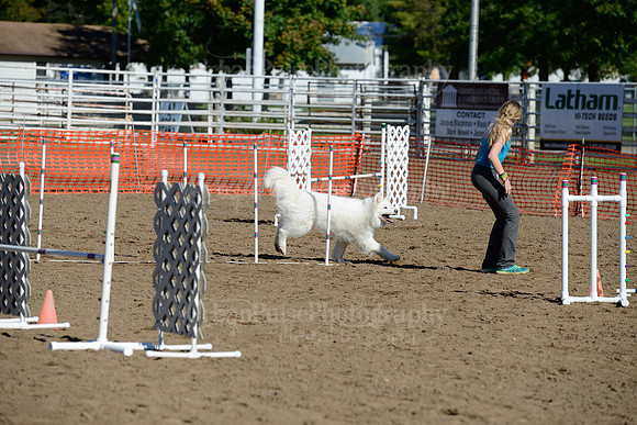 AGILITY-1939