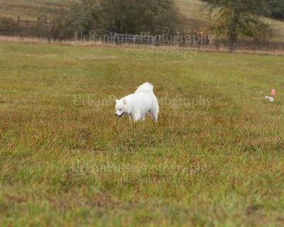 SCA2016_LURE COURSING-7752