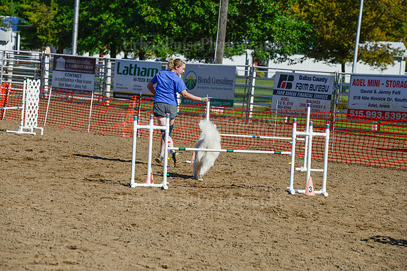 AGILITY-2019