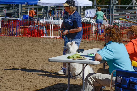 AGILITY-2384