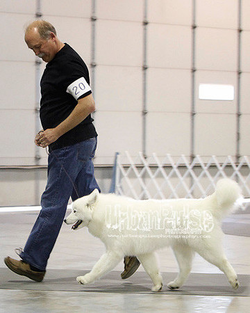 Fargo_2011-4426