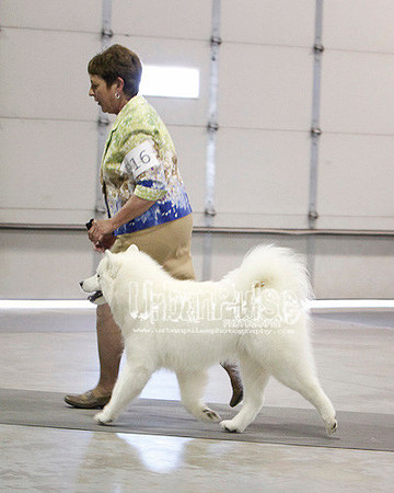 Fargo_2011-4401